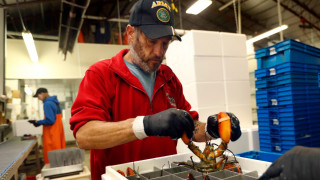 ΗΠΑ: Φορτίο αστακού αξίας 340.000 έκανε φτερά - Έρευνες και από το FBI