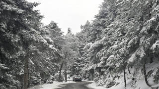 Στα «λευκά» ντύθηκε η Πάρνηθα - Διεκόπη η κυκλοφορία λόγω χιονόπτωσης