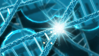 Επιστήμονες ανακάλυψαν νέες μορφές ζωής μέσα στο ανθρώπινο σώμα, που δεν μπορούν να ταξινομηθούν