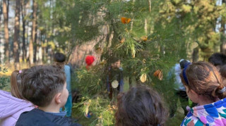 Μαθητές γεμίζουν «δεντρο-λιχουδιές» σχολικές αυλές, πάρκα και μικρά δάση