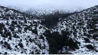 Καιρός: Έρχονται χιόνια και σε χαμηλά υψόμετρα από την Κυριακή - Παγετός και κρύο σε όλη τη χώρα