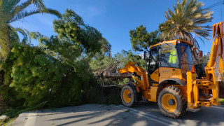 Πλημμυρισμένοι δρόμοι, πεσμένα δέντρα και ζημιές σε σπίτια: Η κακοκαιρία αλώνει την Δυτική Ελλάδα