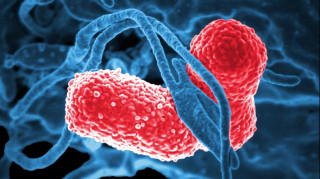 Μελέτη επιβεβαιώνει τον λόγο που κάποιοι άνθρωποι μεθάνε χωρίς να αγγίξουν αλκοόλ