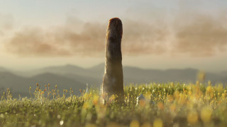 Ένας οργανισμός με ύψος 8 μέτρα που έζησε πριν από 400 εκατ. χρόνια δεν μοιάζει με τίποτε στη Γη