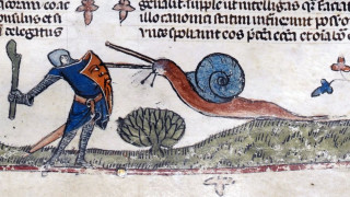 Γιατί ιππότες μονομαχούν με τεράστια σαλιγκάρια σε μεσαιωνικά χειρόγραφα