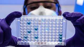 Ενισχυμένοι έλεγχοι ασφαλείας για τον θανατηφόρο ιό Νίπα στο Πακιστάν