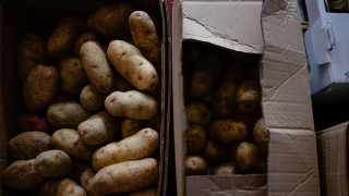 Αγρόκτημα στη Γερμανία χαρίζει εκατομμύρια πατάτες μετά την υπερβολικά μεγάλη συγκομιδή