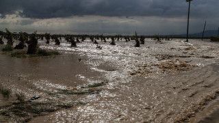 Εικόνες από την επόμενη μέρα της κακοκαιρίας στη Λάρισα: Βιβλική καταστροφή σε Αγιόκαμπο, Πλαταμώνα