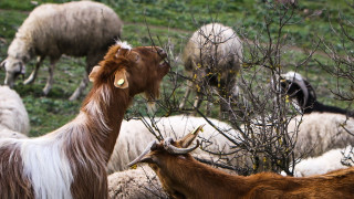 Μπιλλίνης για ευλογιά: Συνάντηση με τον Ευρωπαίο Επίτροπο - Ζώνες, ανασύσταση, εμβόλιο επί τάπητος