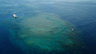 Αυστραλία: 13χρονος κολύμπησε 4 χιλιόμετρα για να σώσει την μητέρα και τα αδέρφια του
