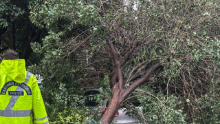 Θεσσαλονίκη: Πάνω από 15 κλήσεις στην Πυροσβεστική για πτώσεις δέντρων και αντικειμένων λόγω ανέμων