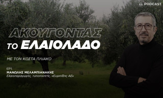 Ο μικρός κλήρος «απαγορεύει» τις επενδύσεις στην αγροτική οικονομία