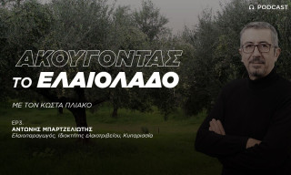 Το ελαιόλαδο φεύγει από τον παραγωγό κοντά στα 5 ευρώ το λίτρο, τιμή πολύ χαμηλή