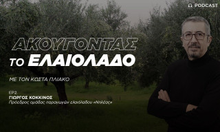 Μονόδρομος ο συνεταιρισμός ελαιοπαραγωγών αν θέλουμε να επιβιώσουμε