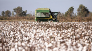 Νέες ρυθμίσεις για τους αγρότες: Παράταση έως 31 Δεκεμβρίου για χρηματοδότηση και αγροτικά ακίνητα