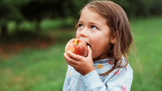 Η ανθυγιεινή διατροφή κατά την πρώιμη ζωή του ανθρώπου προκαλεί μακροχρόνιες αλλαγές στον εγκέφαλο