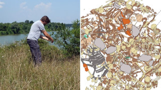 Μακάβριο μυστήριο 3.000 ετών: Ομαδικός τάφος με 77 ανθρώπους και...μία αγελάδα στη Σερβία