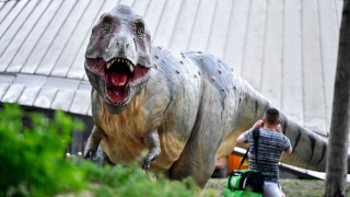 Νέα μελέτη: Ο Τυραννόσαυρος έτρεχε στις μύτες των ποδιών και ήταν ταχύτερος από τον Γιουσέιν Μπολτ