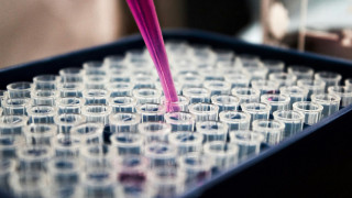 Ανακάλυψη προϊστορικού DNA αναθεωρεί την ιστορία των πληθυσμών στην Ανατολική Ασία