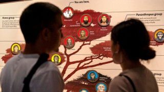 Στα ίχνη της προϊστορικής γαστρονομίας: Μελέτη αποκαλύπτει τι μαγείρευαν οι αρχαίοι Ευρωπαίοι