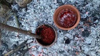 Νέα έρευνα αποκαλύπτει πως οι προϊστορικοί Ευρωπαίοι συνδύαζαν φυτά και ψάρια σε πολύπλοκα γεύματα