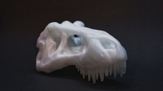 Επιστήμονες εντόπισαν νέο είδος ζώου που έζησε πριν 100 εκατ. χρόνια στην Ισπανία