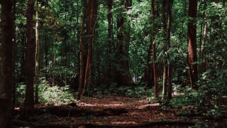 Αχαΐα: 62χρονος πέθανε από ακατάσχετη αιμορραγία όταν τραυματίστηκε κατά λάθος με τσεκούρι