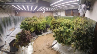 Έστησαν εργαστήρι καλλιέργειας κάνναβης σε διώροφη κατοικία στη Θεσσαλονίκη – Δύο συλλήψεις