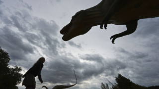 Ανακαλύφθηκε ο μεγαλύτερος πρόγονος του τυραννόσαυρου Ρεξ στη Βόρεια Αμερική - Ήταν 74 εκατ. ετών