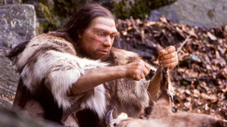 Νέα μελέτη: Οι Νεάντερταλ κυνηγούσαν γιγάντιους ελέφαντες σε όλη την Ευρώπη