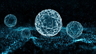 Επιστήμονες πραγματοποίησαν 3D εκτυπώσεις μέσα σε ανθρώπινα κύτταρα – Τι σημαίνει αυτό