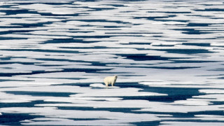 Ιστορικό ρεκόρ για το λιώσιμο των πάγων στην Αρκτική: Στο χαμηλότερο επίπεδο των τελευταίων 48 ετών