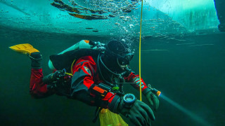Κάτω από τον πάγο: Η αθέατη ζωή της Αρκτικής στο μικροσκόπιο των επιστημόνων