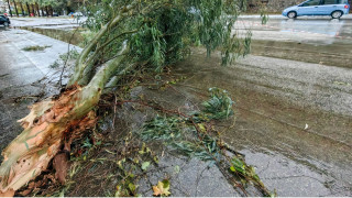 Κακοκαιρία Erminio: Κλειστή η Πειραιώς από πτώση δέντρου - Πού υπάρχει εκτροπή κυκλοφορίας