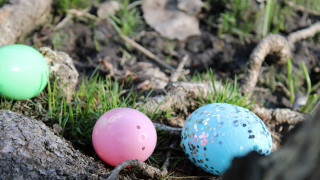 Ραδιενεργό δηλητήριο εντοπίστηκε κατά τη διάρκεια «κυνηγιού» πασχαλινών αυγών στη Γερμανία