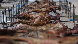 Εκτός αγοράς 300.000 αρνιά λόγω ευλογιάς και αφθώδους πυρετού - «Φωτιά» οι τιμές του οβελία