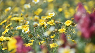 Οι τρεις φάσεις στην εξέλιξη της θερμοκρασίας έως τα μέσα Απριλίου