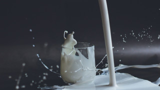 Σε απόγνωση οι κτηνοτρόφοι της Μυτιλήνης λόγω αφθώδους πυρετού - Τι συμβαίνει με το γάλα