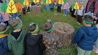 Μαθητές στη Θράκη έγιναν «πολύτιμοι φύλακες του κλίματος»: Φύτεψαν δεκάδες φυτά σε νηπιαγωγεία