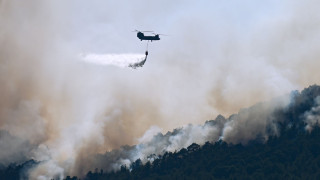 Συνελήφθη 51χρονος για τη φωτιά στην Άμπελο Αχαΐας