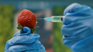 Αλλάζουν στην ΕΕ οι κανονισμοί στα μεταλλαγμένα: «Καμπανάκι» περιβαλλοντικών οργανώσεων