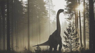 Σπουδαία ανακάλυψη στην Αργεντινή: Δεινόσαυρος 20 μέτρων δεν ταιριάζει με καμία γνωστή κατηγορία