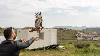 Μια ημέρα στην ANIMA: Όταν ο εθελοντισμός γίνεται εμπειρία πεδίου