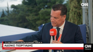 Γεωργιάδης για Κοβέσι: Πολιτικές οι δηλώσεις της – Δεν θα μας πει ποια είναι τα βουλευτικά καθήκοντα