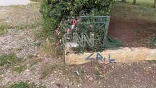 Άγιος Δημήτριος: Φωτογραφία ντοκουμέντο από το σημείο όπου εντοπίστηκε νεκρός ο 25χρονος