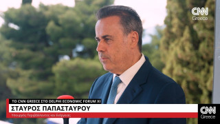 Σταύρος Παπασταύρου στο CNN Greece: H επιτυχία της ΔΕΗ, είναι επιτυχία της Ελλάδος