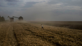 Η Ουκρανία ζητεί από το Ισραήλ να μην δεχθεί τα «κλεμμένα από τη Ρωσία» σιτηρά της