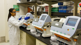 Νέα μελέτη προειδοποιεί: Τοξικές ουσίες και κλιματική κρίση απειλούν τη γονιμότητα