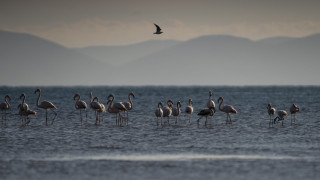 «Πράσινο φως» στην Ειδική Περιβαλλοντική Μελέτη για περιοχές Natura 2000 - Καλύπτει 25 περιοχές
