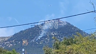 Φωτιά στην Πάρνηθα κοντά στο καζίνο: Πάνω από 90 πυροσβέστες - Κλειστός ο δρόμος από το τελεφερίκ